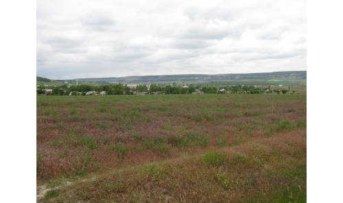 верхняя часть участка 