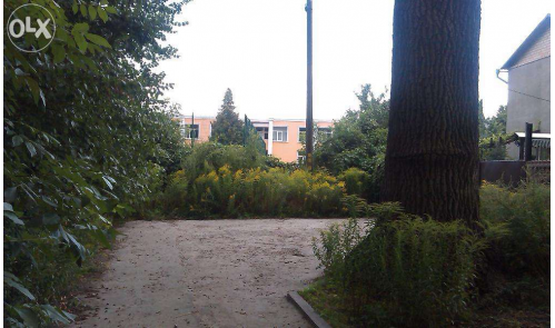 Вид с участка на Британскую школу